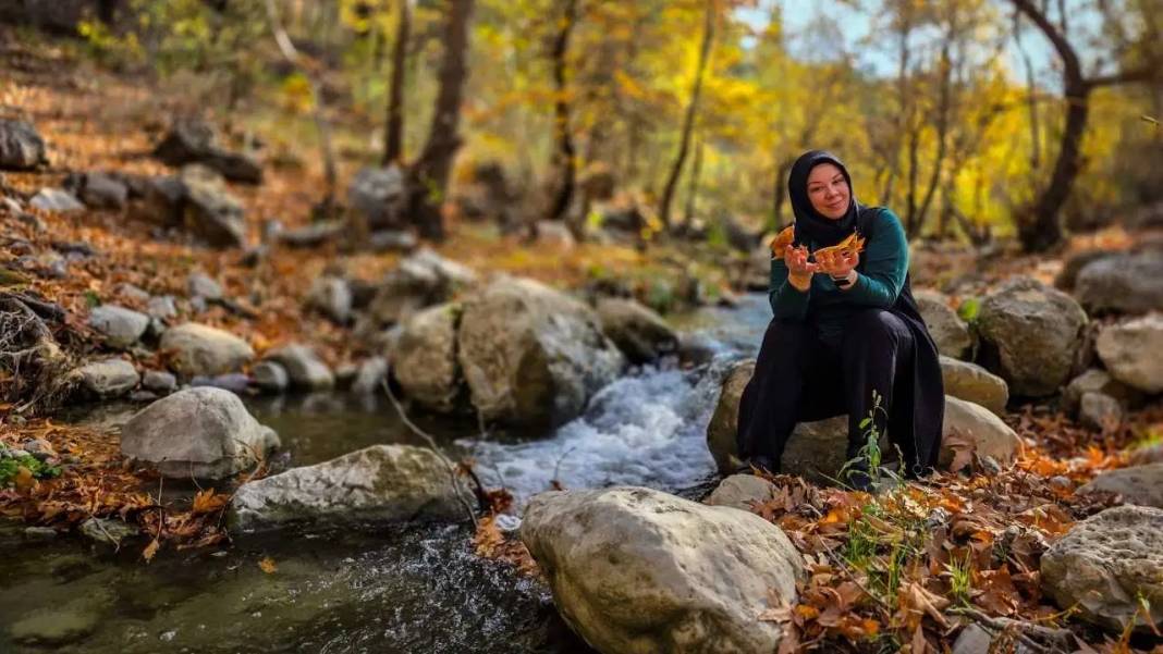 Adana’da Sonbahar Büyüsü: Kartpostalları Aratmayan Görüntüler! 1